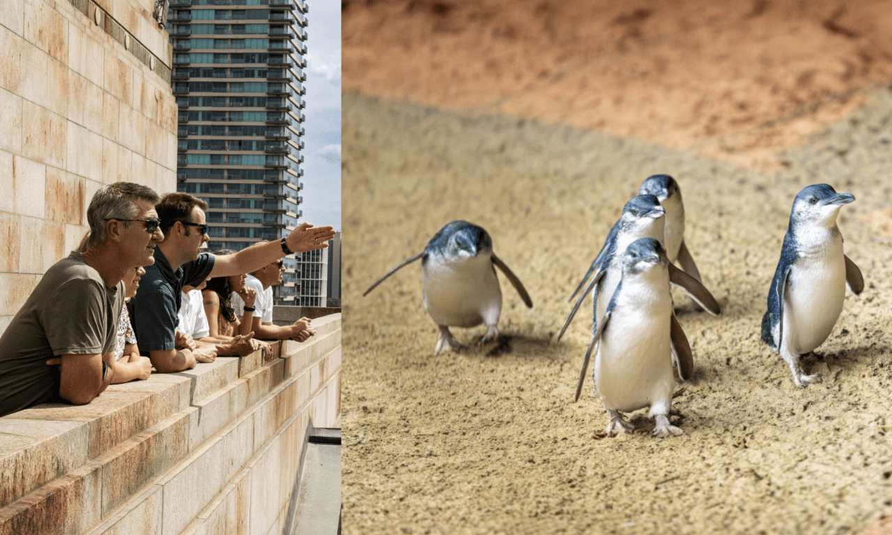 Melbourne City Discovery Tour with Penguin Parade - image 16