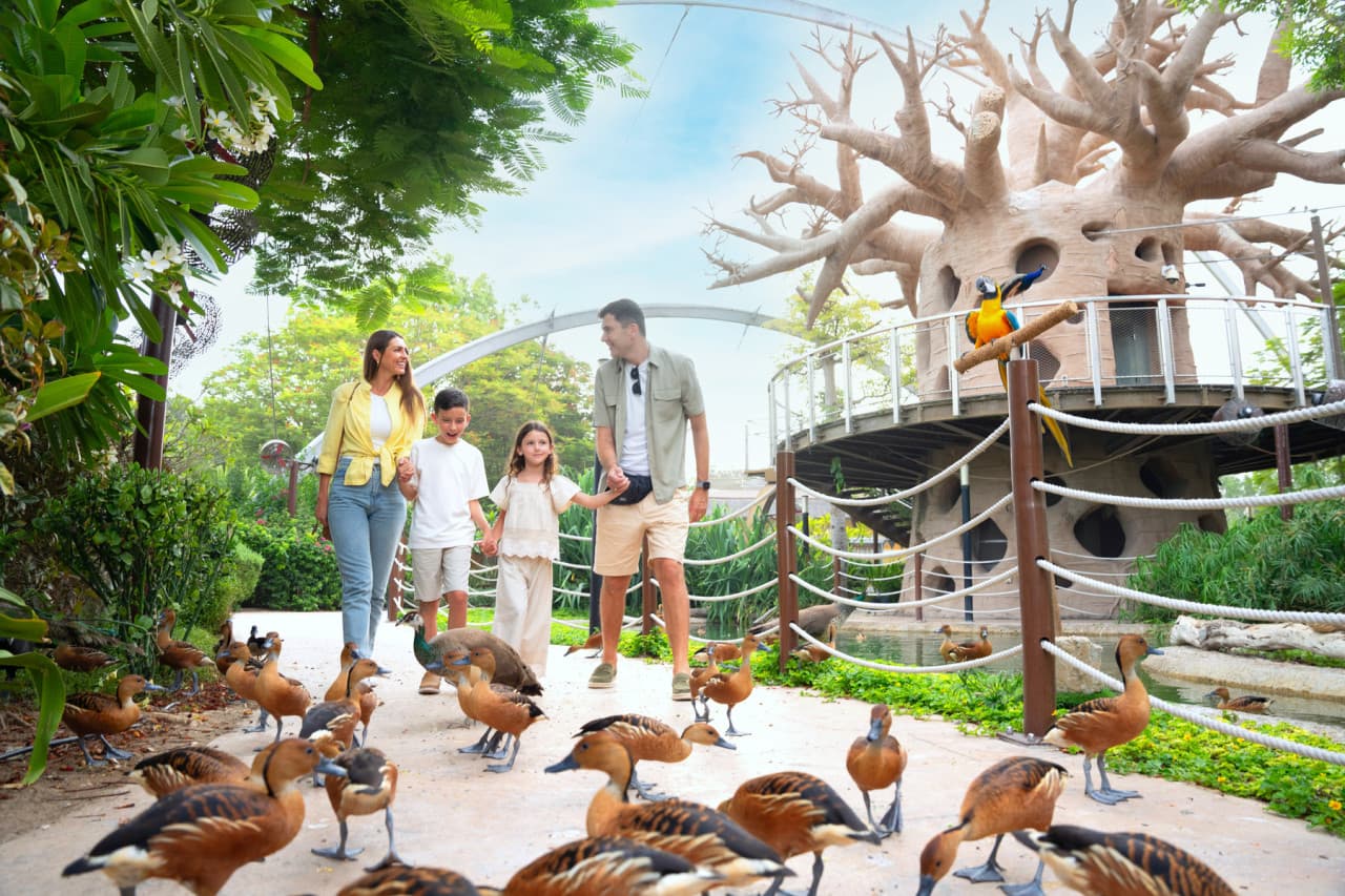 Dubai Safari Park Ticket - image 3