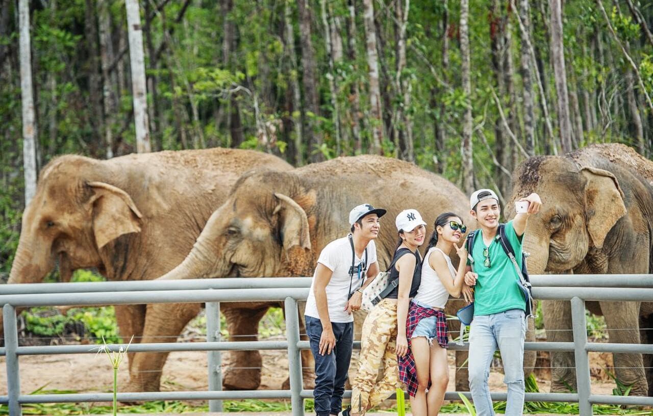 Vinpearl Safari Phu Quoc Ticket - image 11
