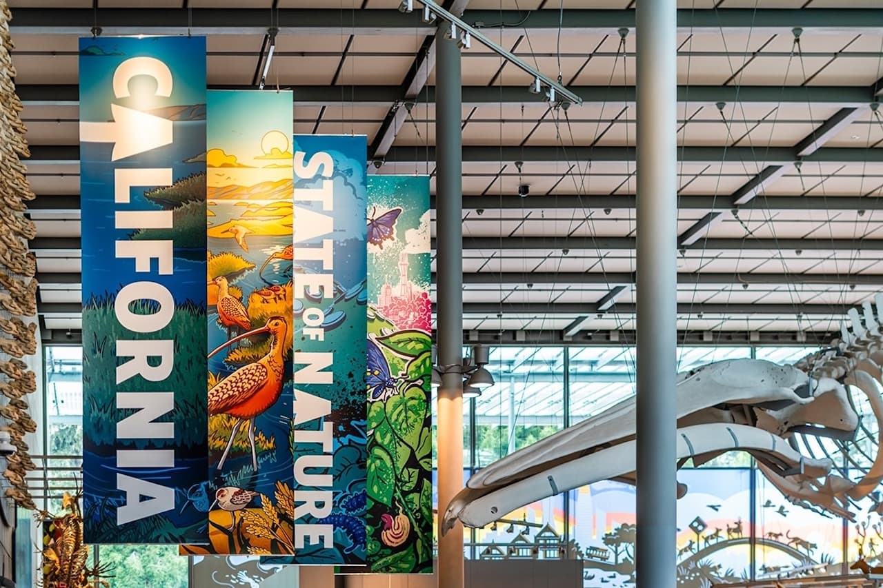 California Academy of Sciences Ticket - image 7