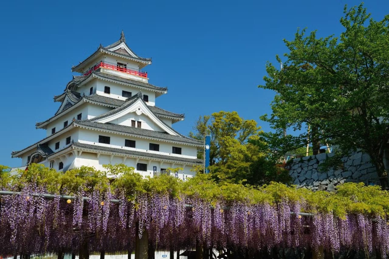 Karatsu Castle Ticket - main image