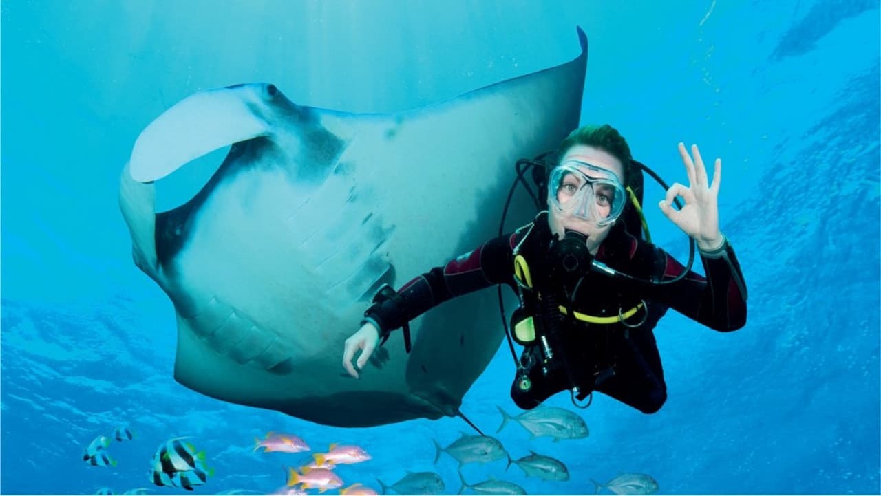 Ultimate Marine Life Experience at Adventure Cove Waterpark - imagen 3