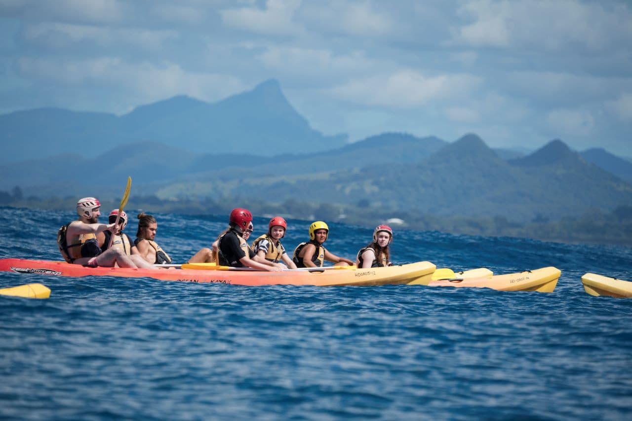 Byron Bay Kayaking Experience with Dolphins - image 8
