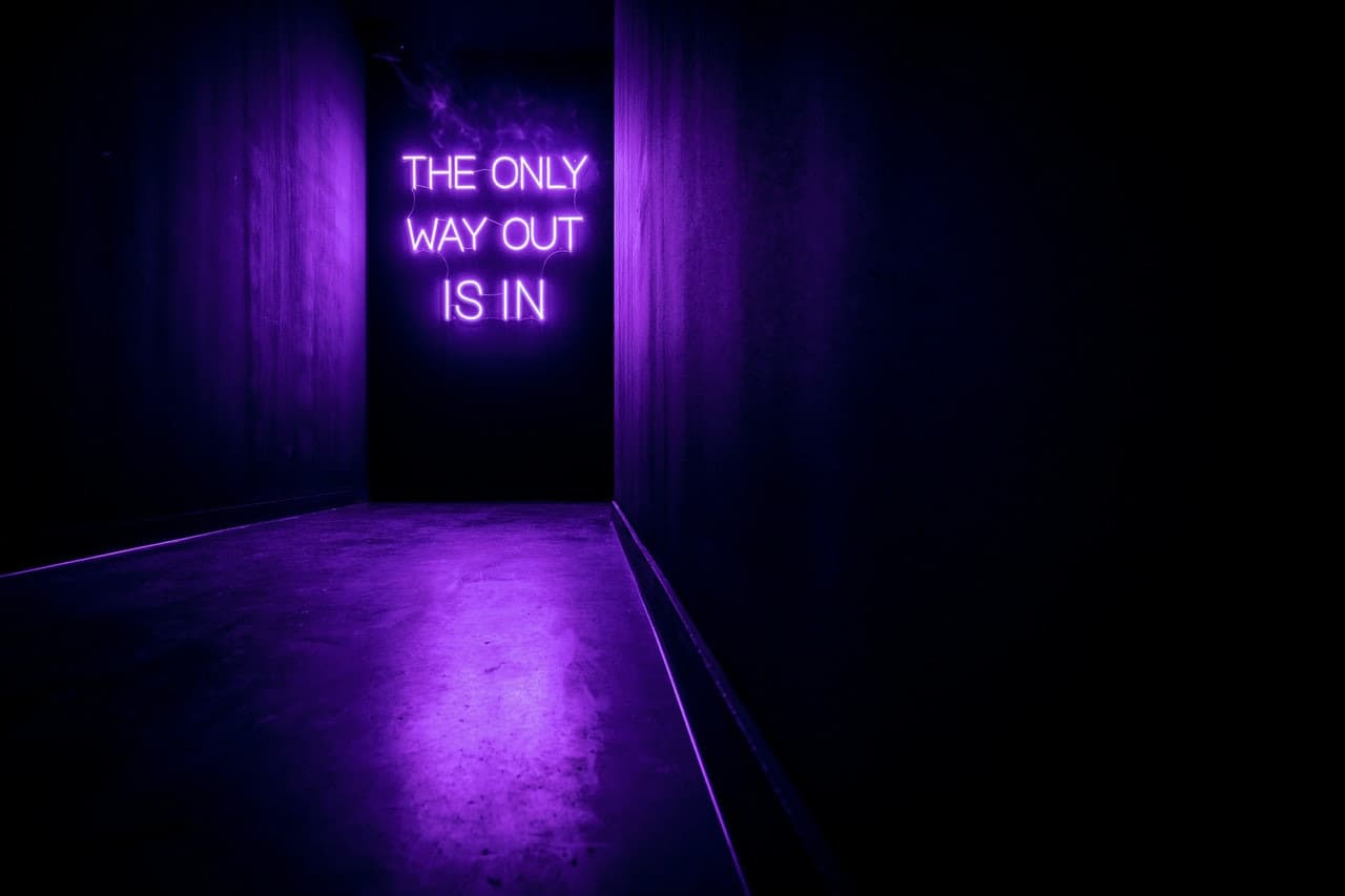 AMAZE: The Immersive Experience - image 10
