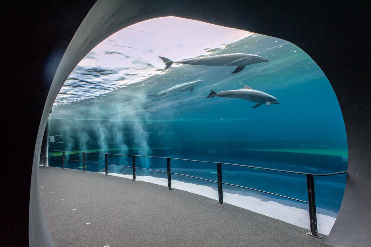 Aquarium of Genoa Ticket - image 2