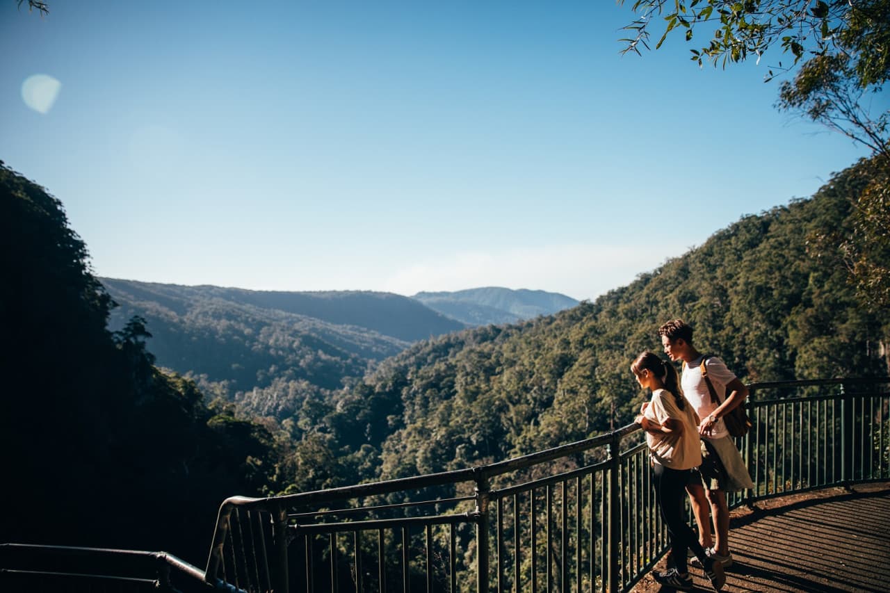 Springbrook National Park Tour: Natural Bridge and Waterfalls - image 4