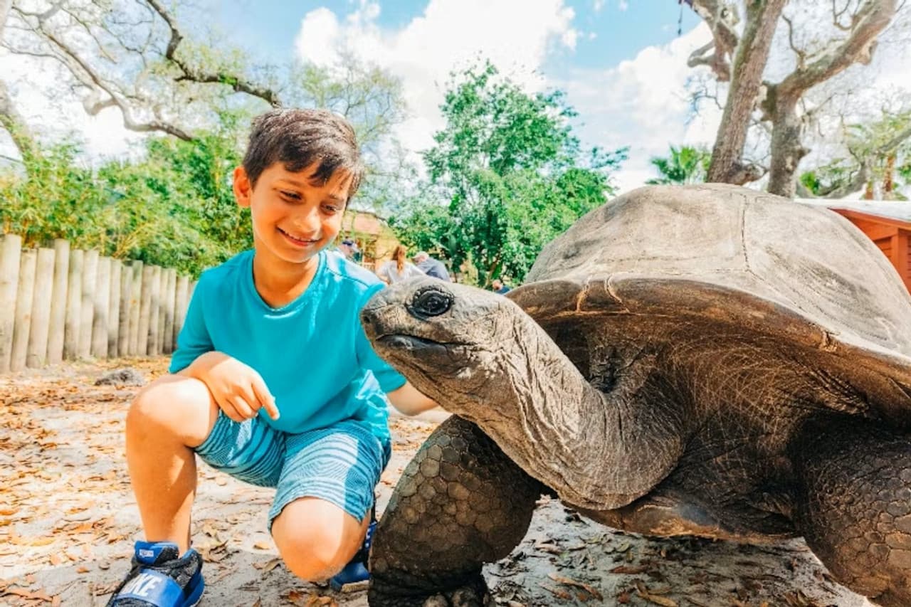 ZooTampa at Lowry Park Ticket - main image