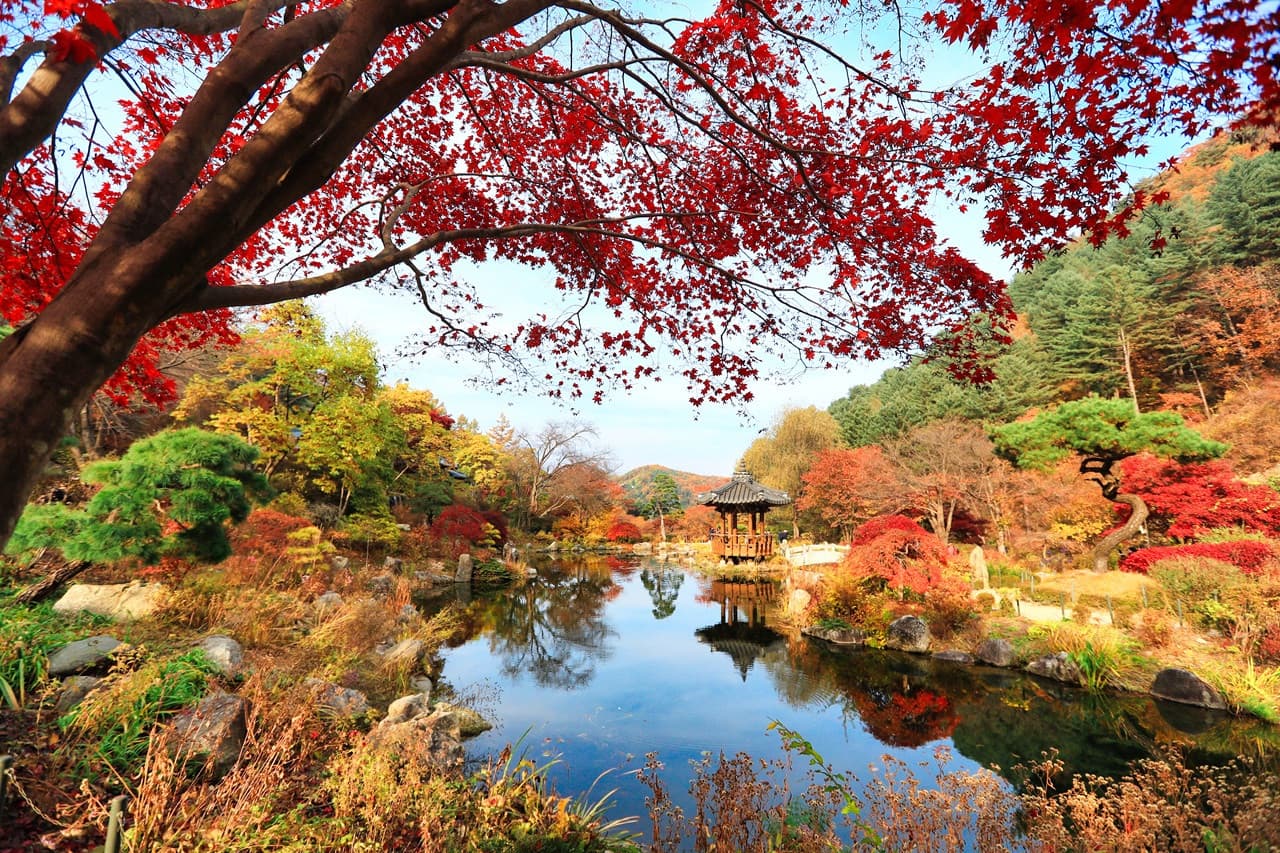 Nami Island, Mount Seorak, and Garden of Morning Calm Full-Day Tour from Seoul - image 2