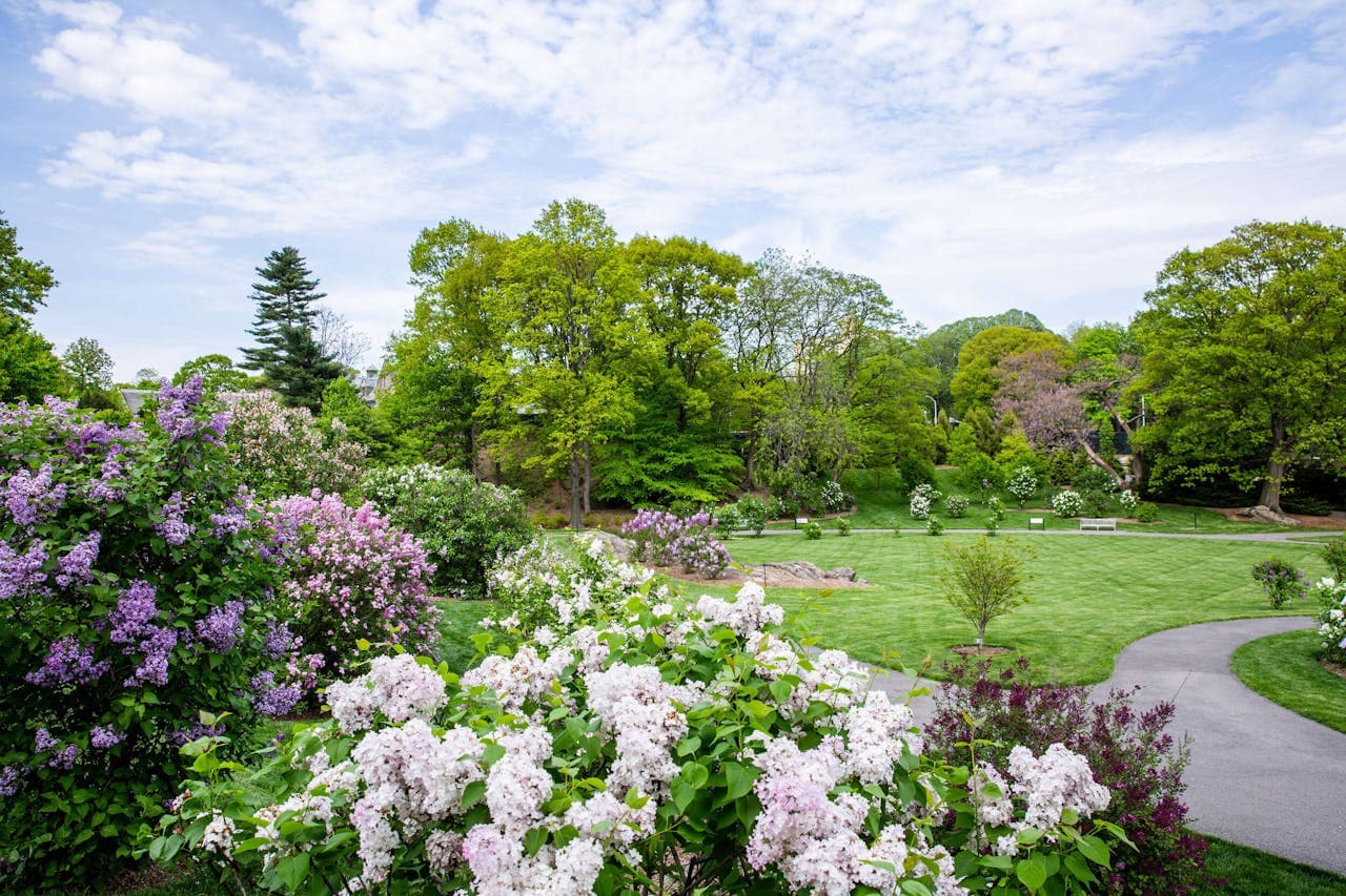 New York Botanical Garden Ticket - image 11