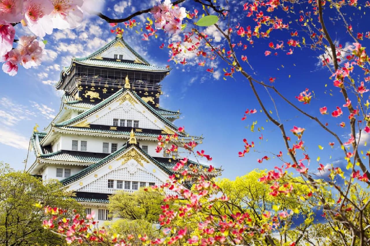 Osaka Sky Vista or Nani Wonder Sightseeing Bus Tour - image 9