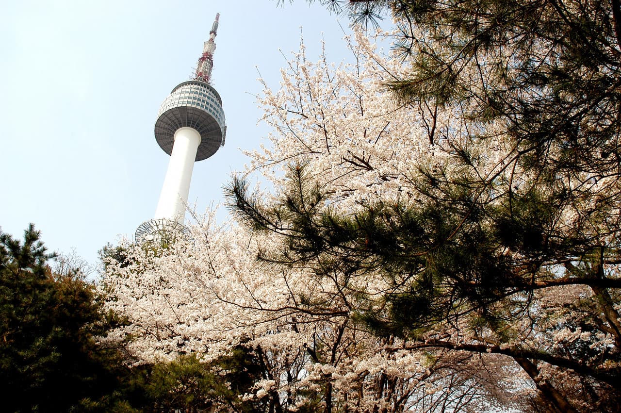 COMBO: AREX Incheon Airport Express Train + SIM Card + N Seoul Tower - image 9
