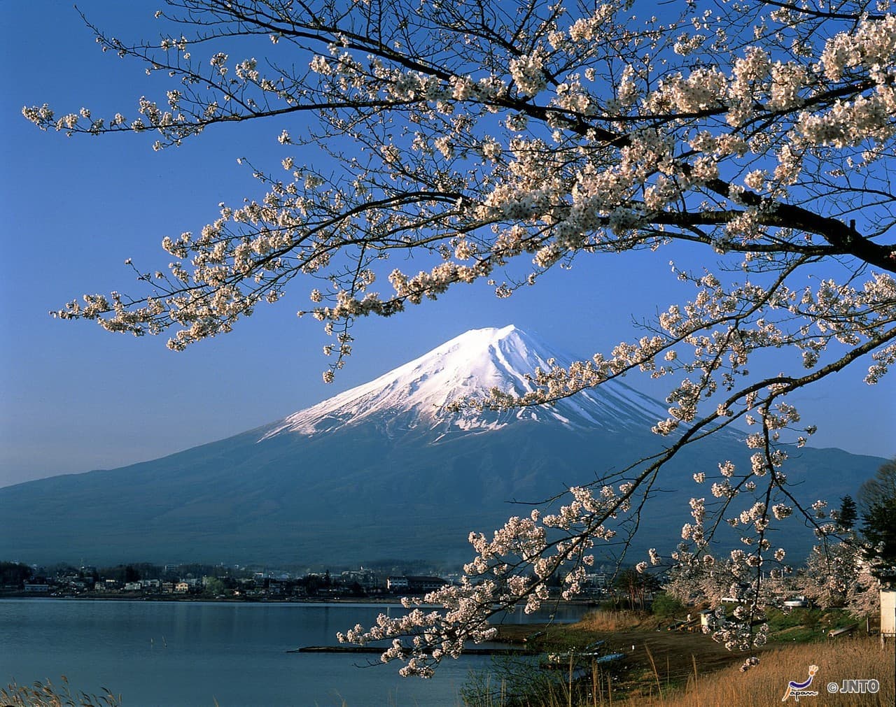 Mount Fuji G Line Full-Day Tour from Tokyo: Arakurayama Sengen Park, Lake Kawaguchi - imagen 2