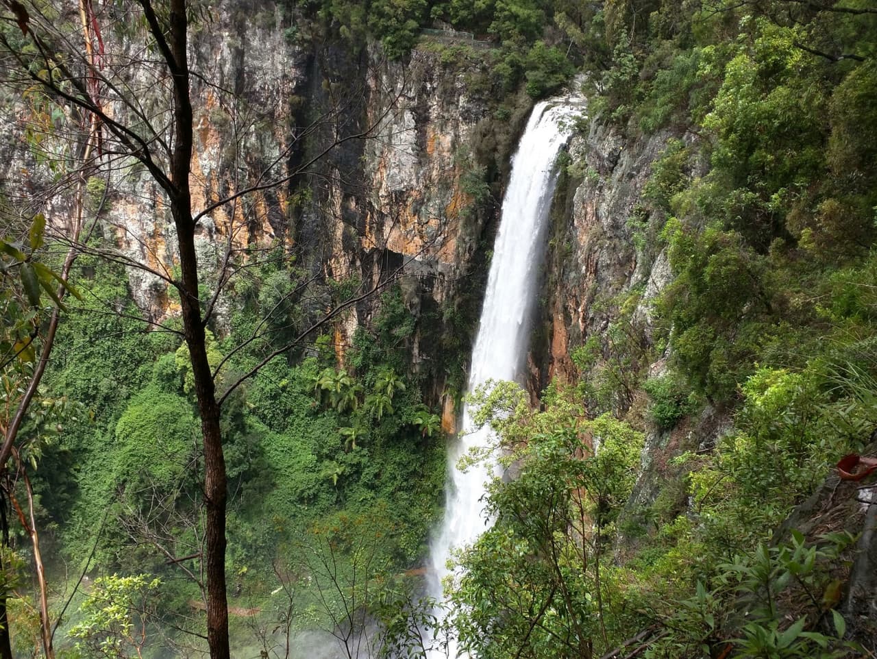 Springbrook National Park Tour: Natural Bridge and Waterfalls - image 9