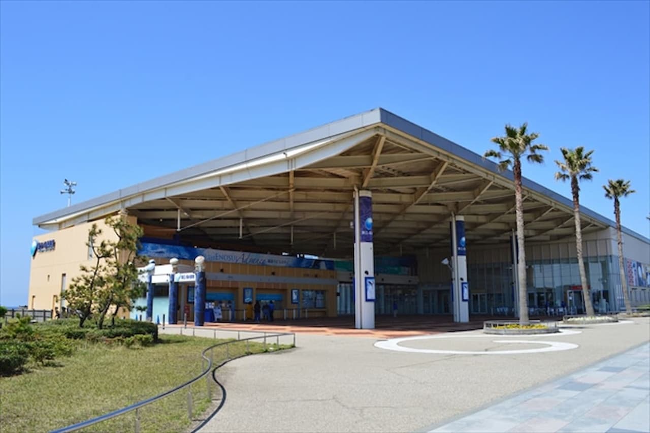 Enoshima Aquarium Ticket - image 8