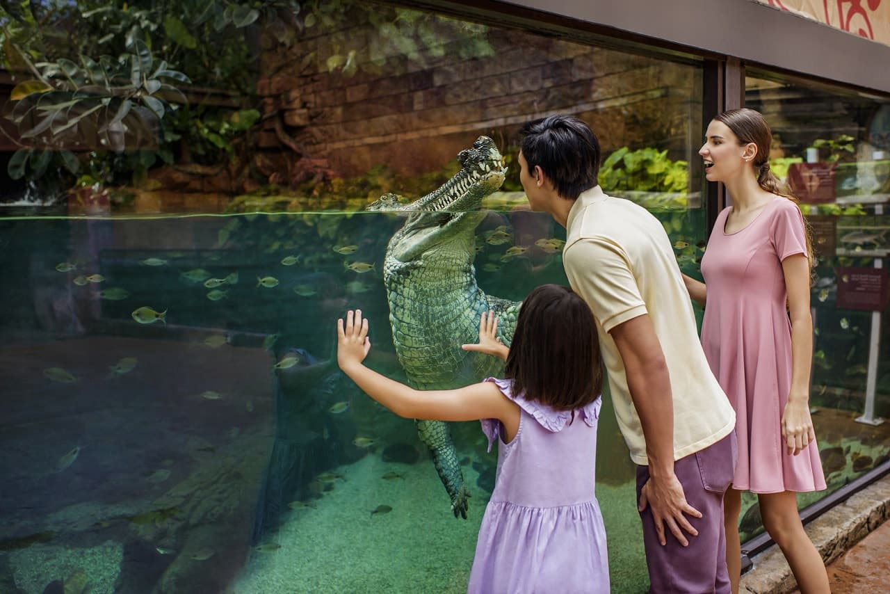 Mandai Destination Pass: Visit Up to 6 Attractions in 1 or 5 Days - image 10