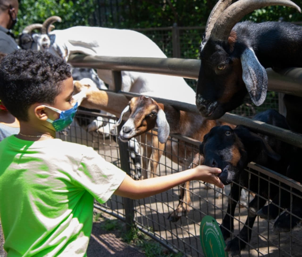 Central Park Zoo - image 4