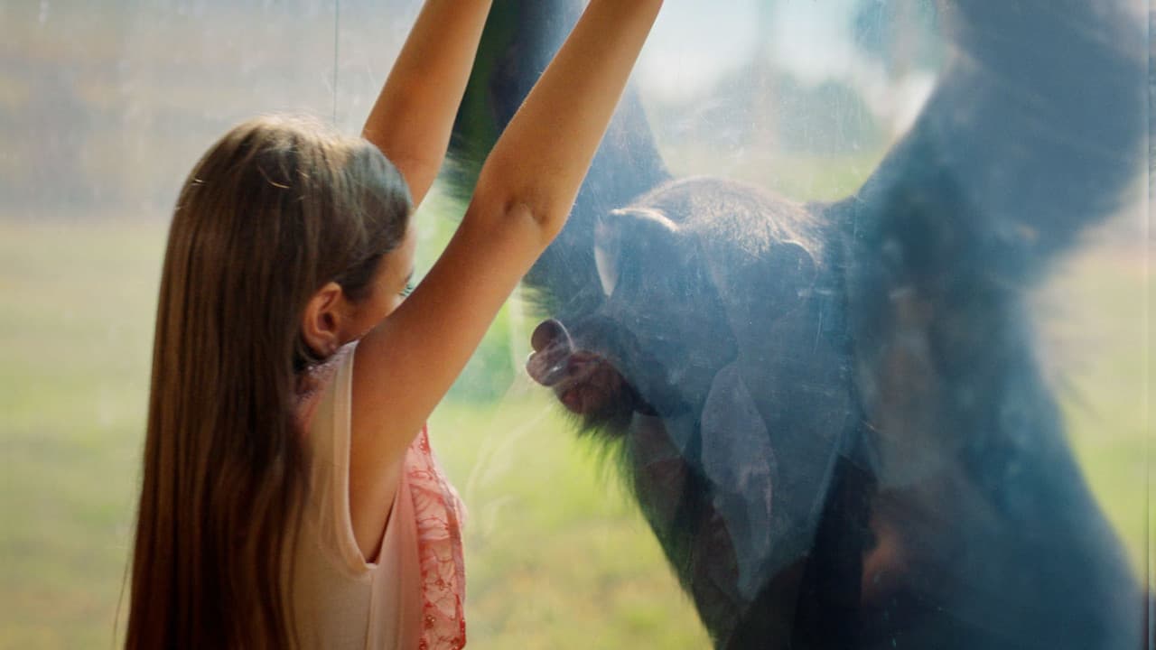 Dubai Safari Park Ticket - image 18