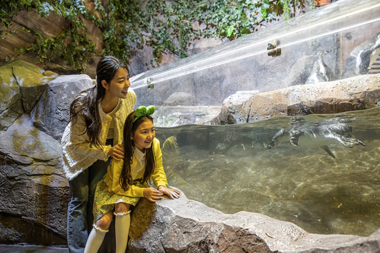 Zoolung Zoolung Indoor Animal Theme Park Ticket - 이미지 4