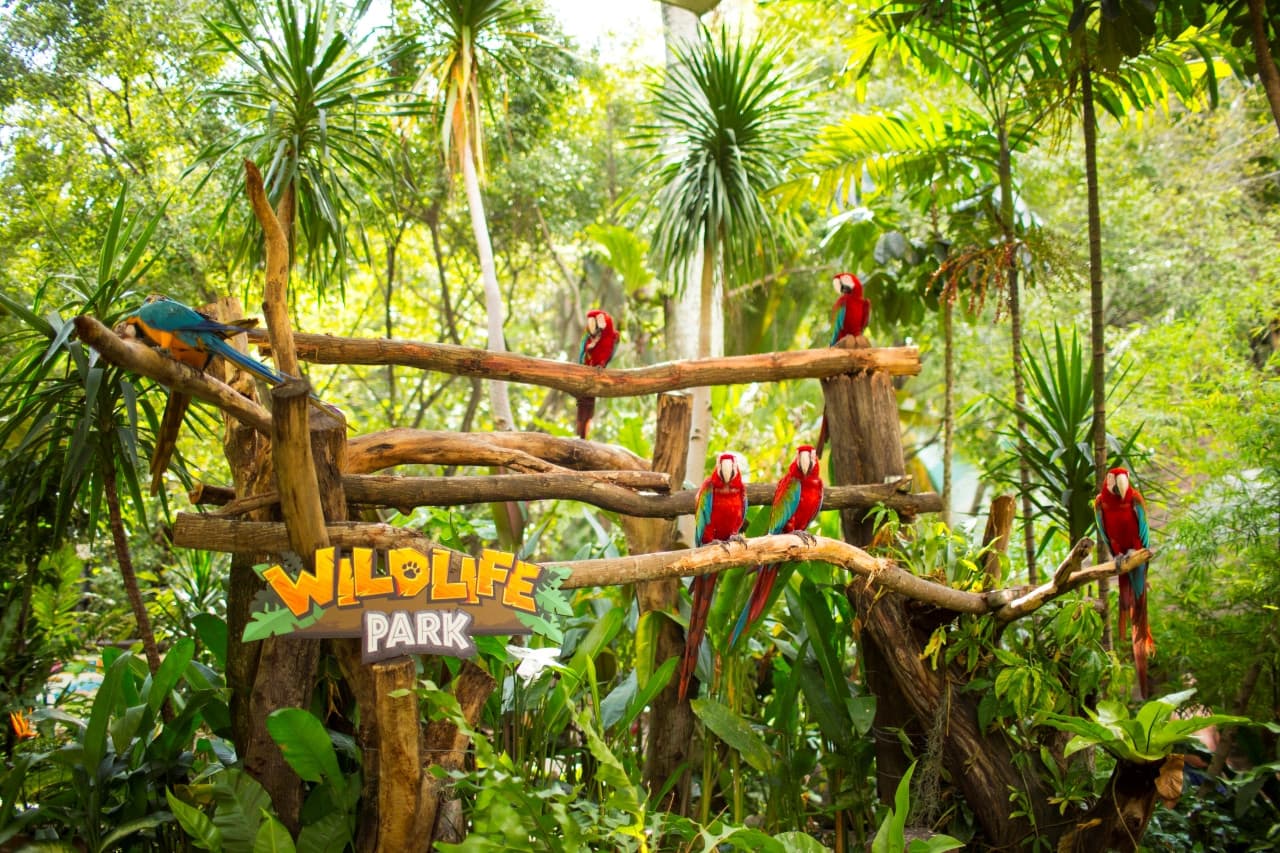 Sunway Lagoon Theme Park Ticket - image 11