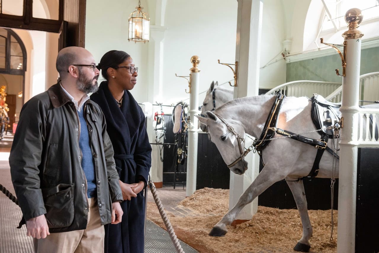 Royal Mews at Buckingham Palace - image 5