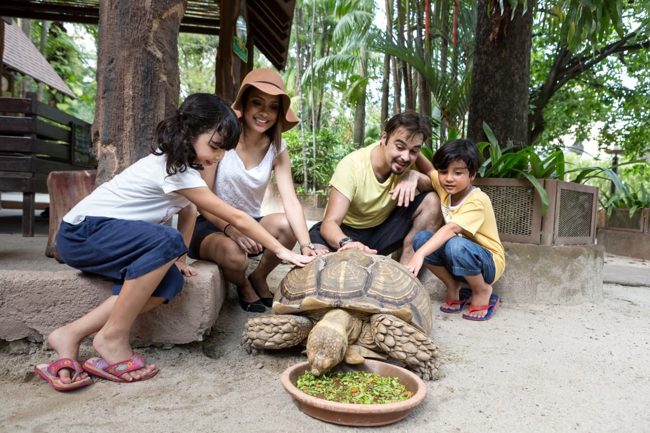 Sunway Lagoon Theme Park Ticket - image 12