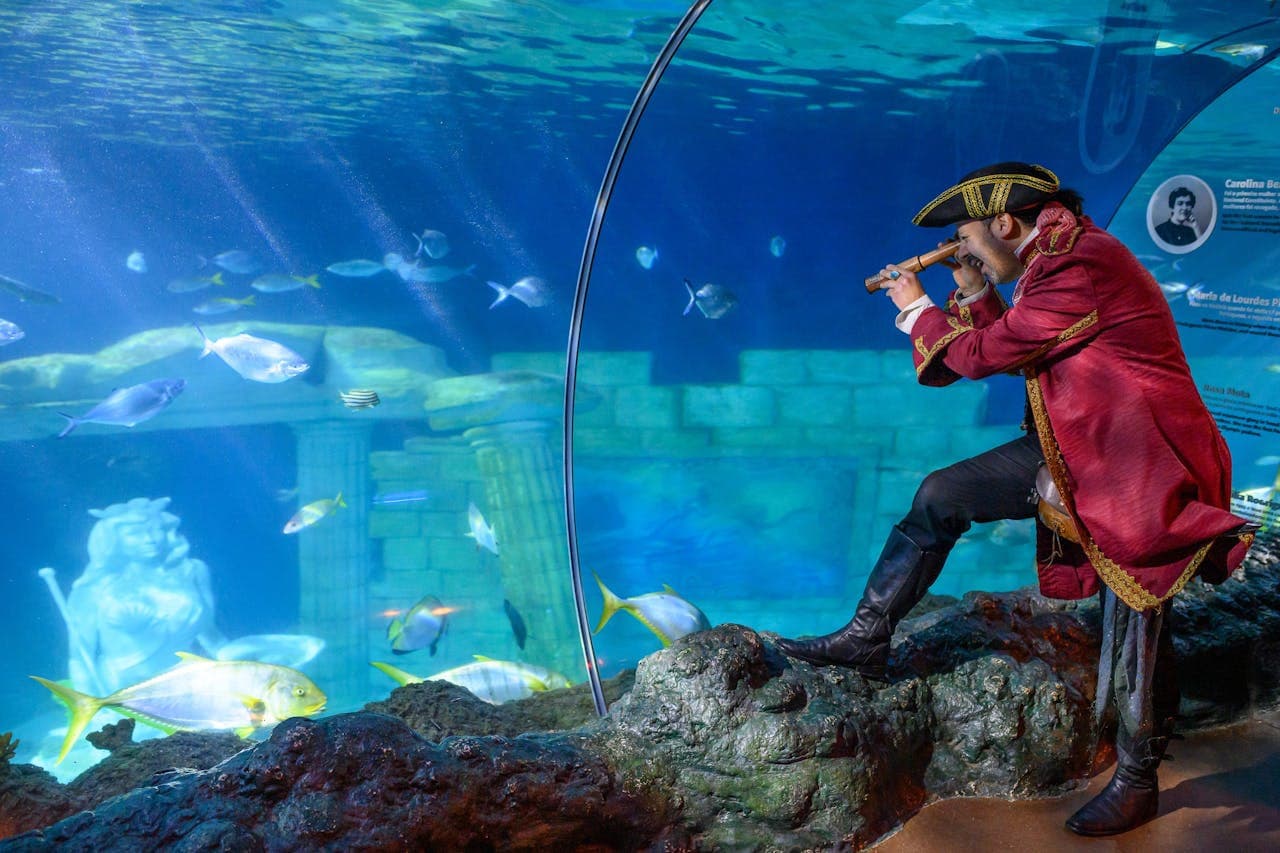 Entrada a SEA LIFE Porto - imagen 6