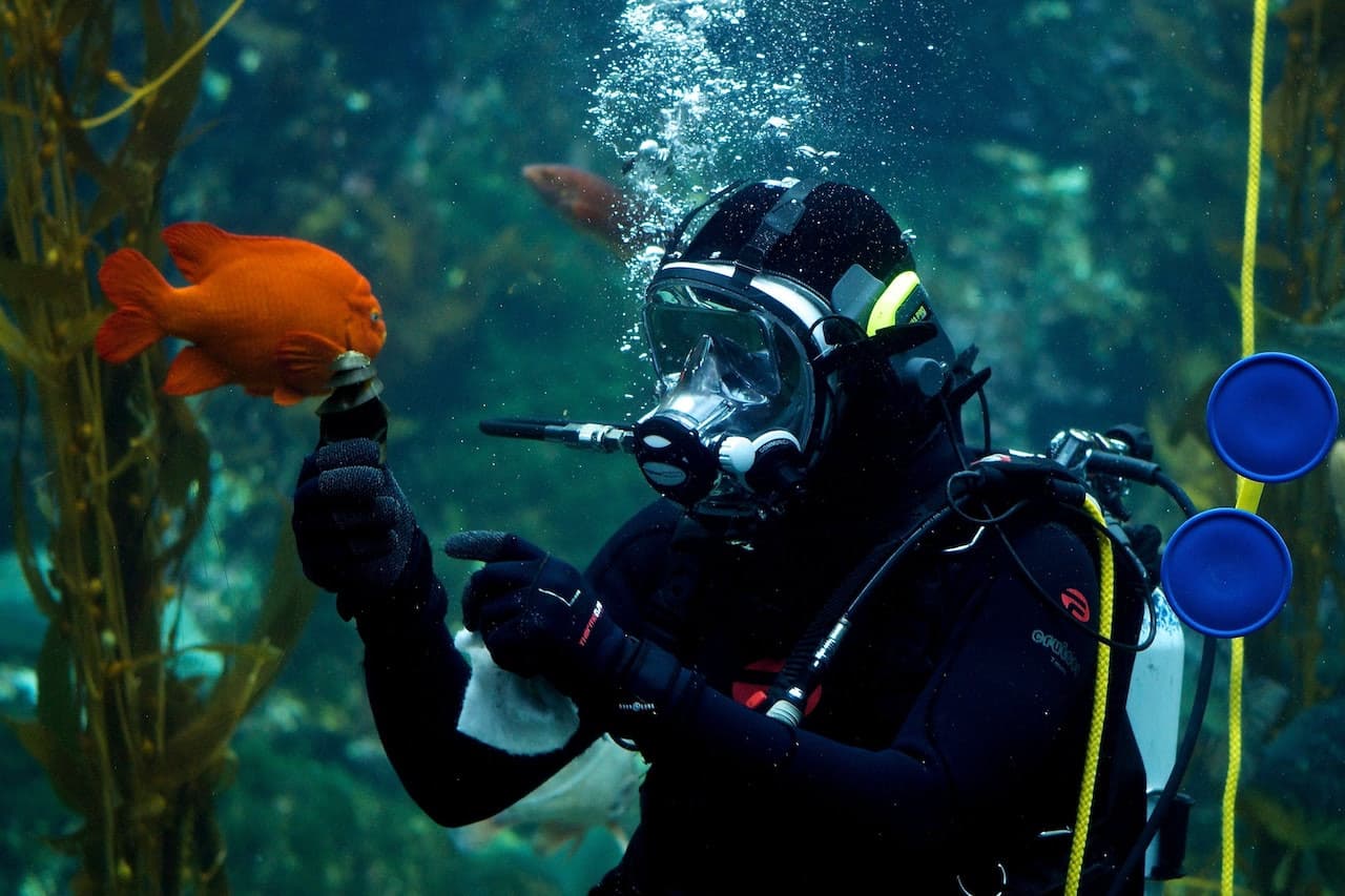 San Diego CityPASS - image 3