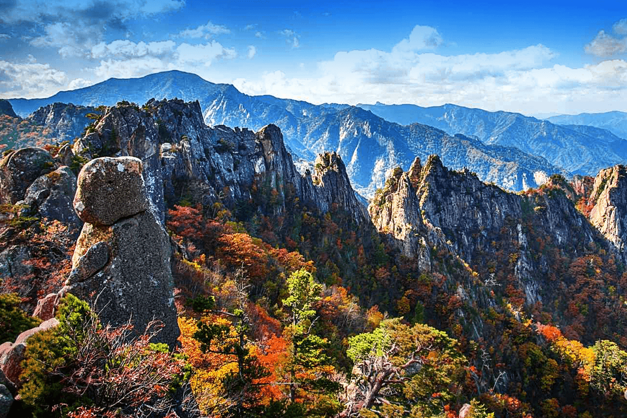 Nami Island, Mount Seorak, and Gapyeong Rail Bike Full-Day Tour from Seoul - 이미지 7