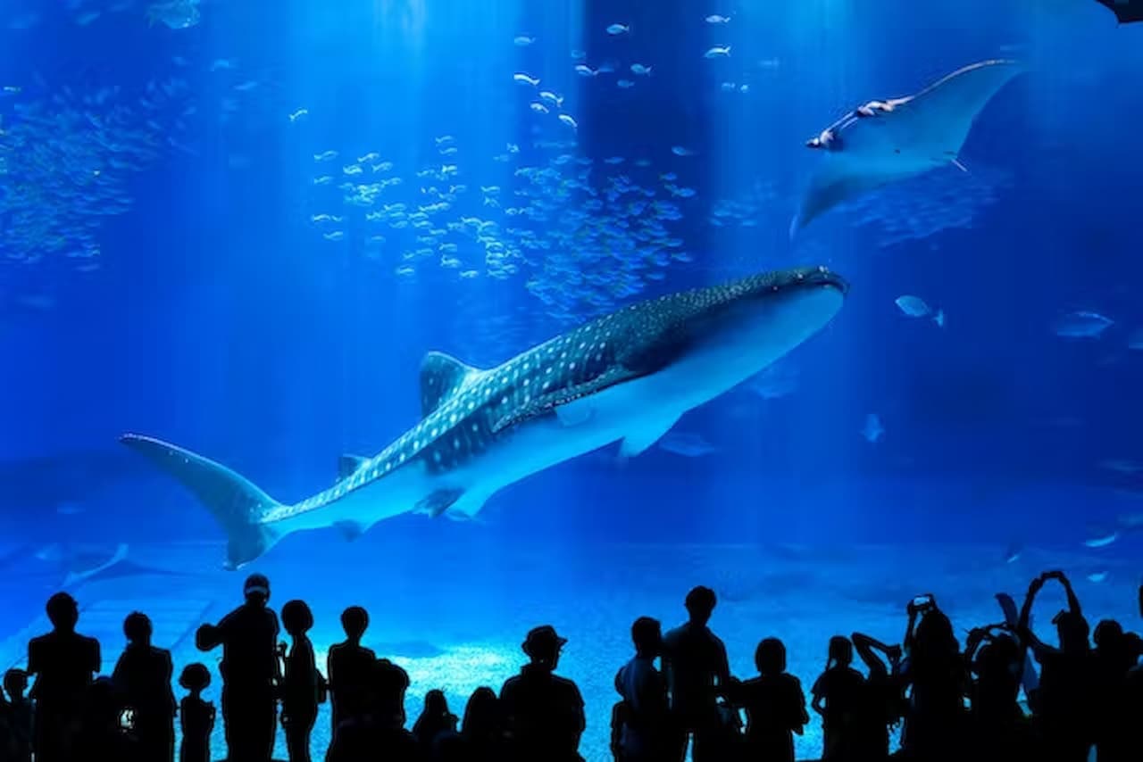 Entrada al Acuario Churaumi de Okinawa - imagen principal