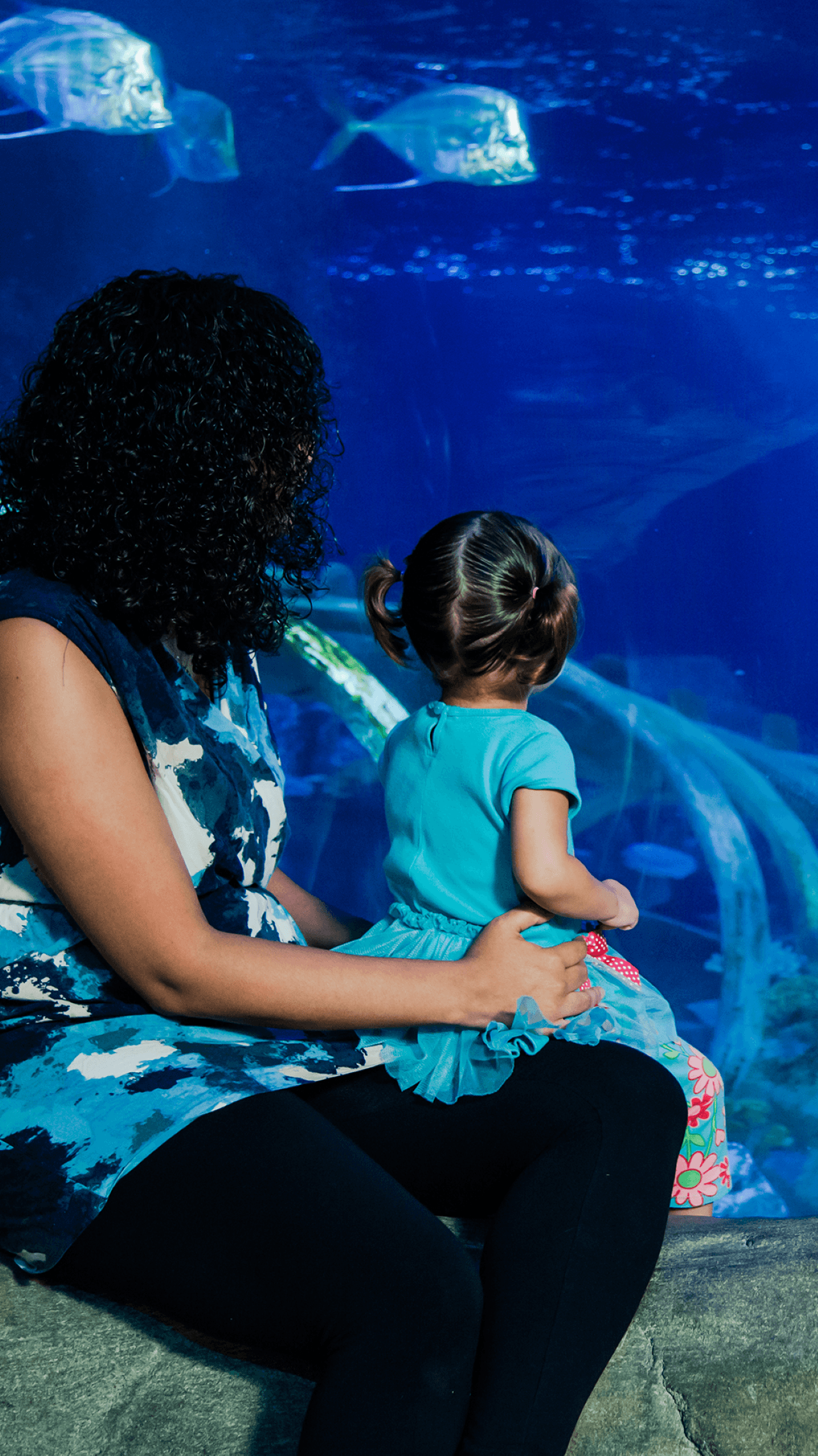 SEA LIFE Paris Aquarium Ticket - image 4