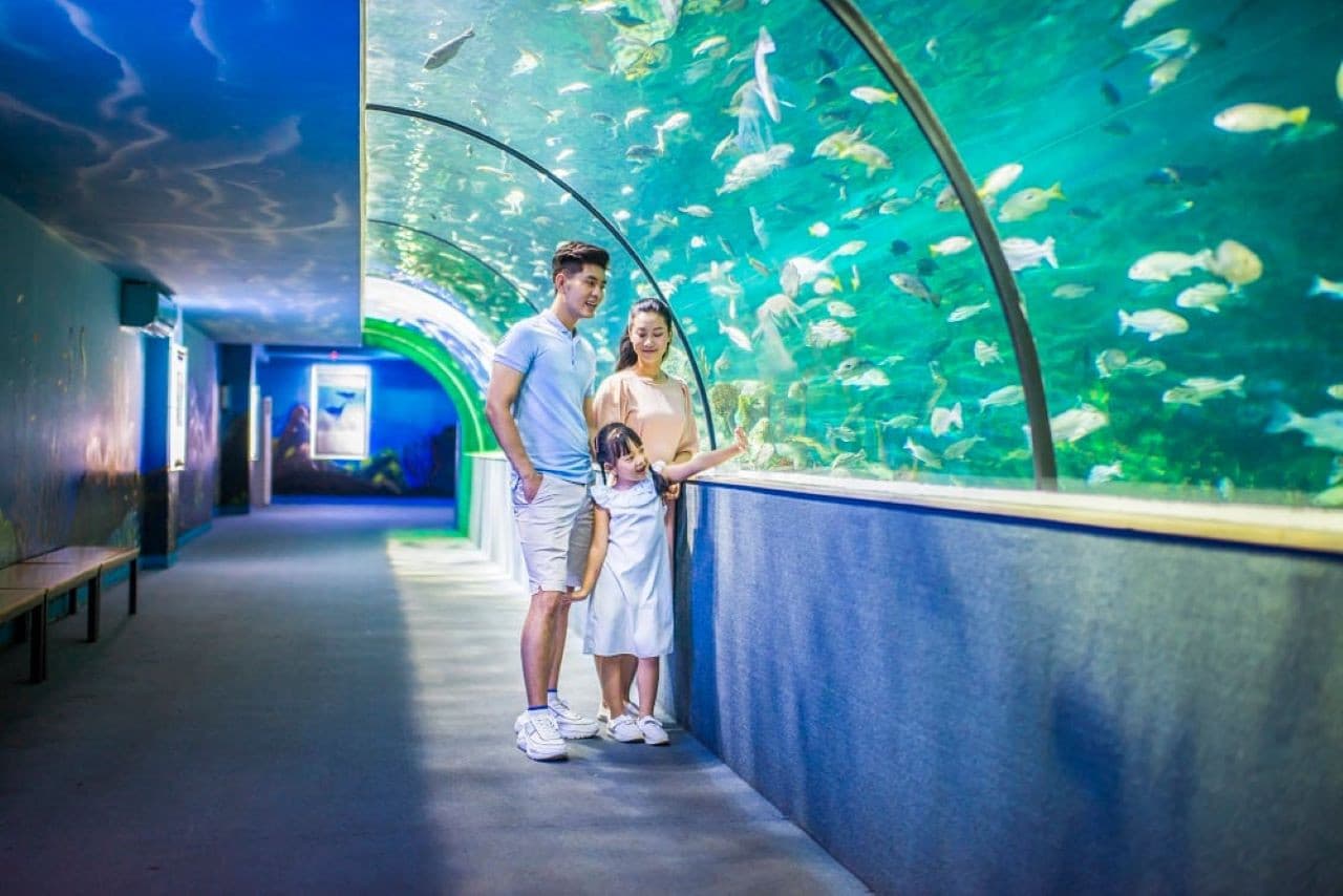 Vinpearl Aquarium Times City Hanoi Ticket - image 6