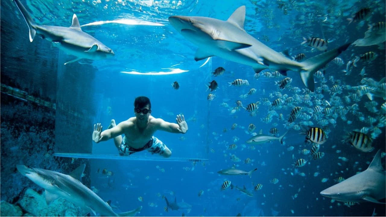 Ultimate Marine Life Experience at Adventure Cove Waterpark - image 6