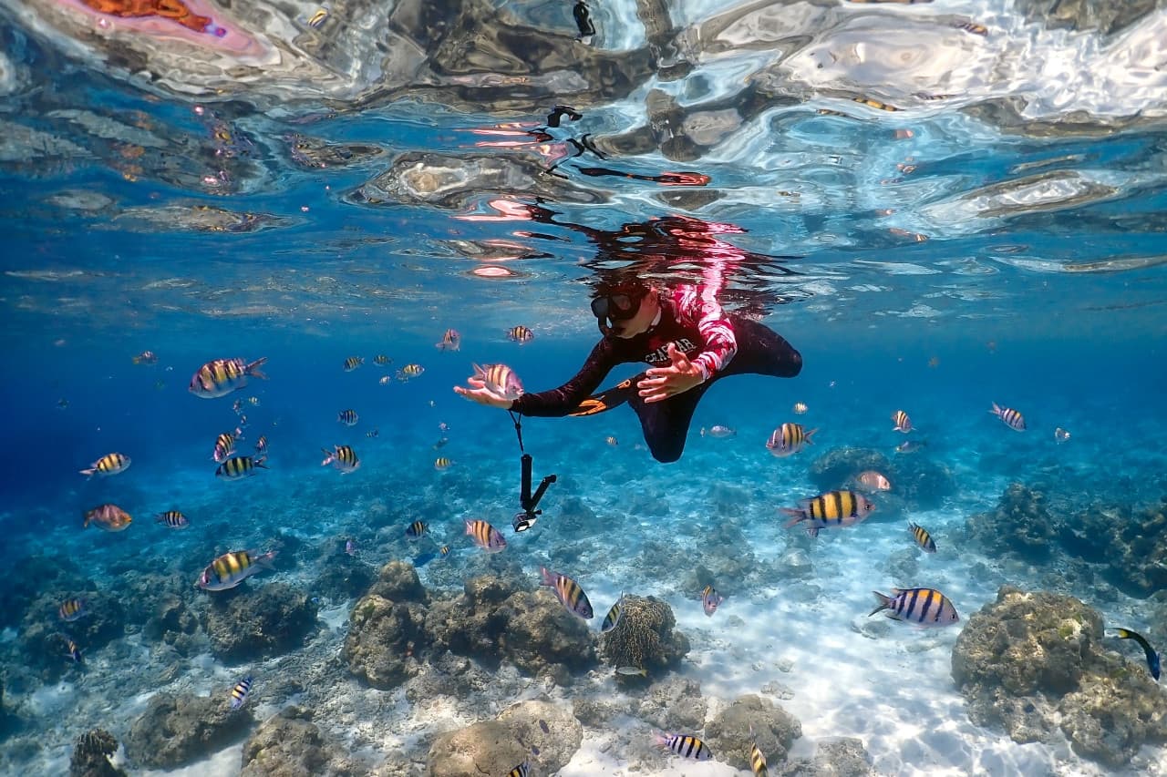 Raya Noi, Raya Yai, and Maiton Island Snorkelling Tour from Phuket - image 5
