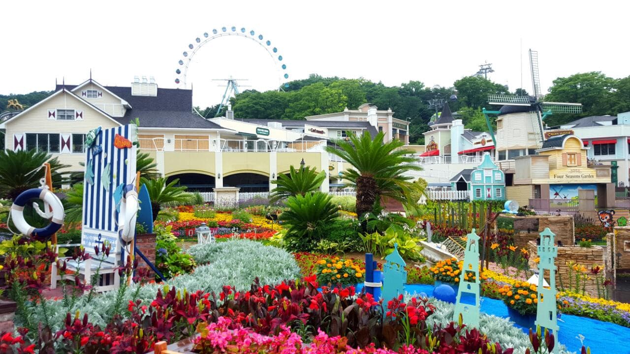Everland Theme Park Ticket - image 14