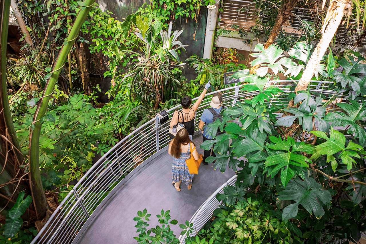 California Academy of Sciences Ticket - image 3
