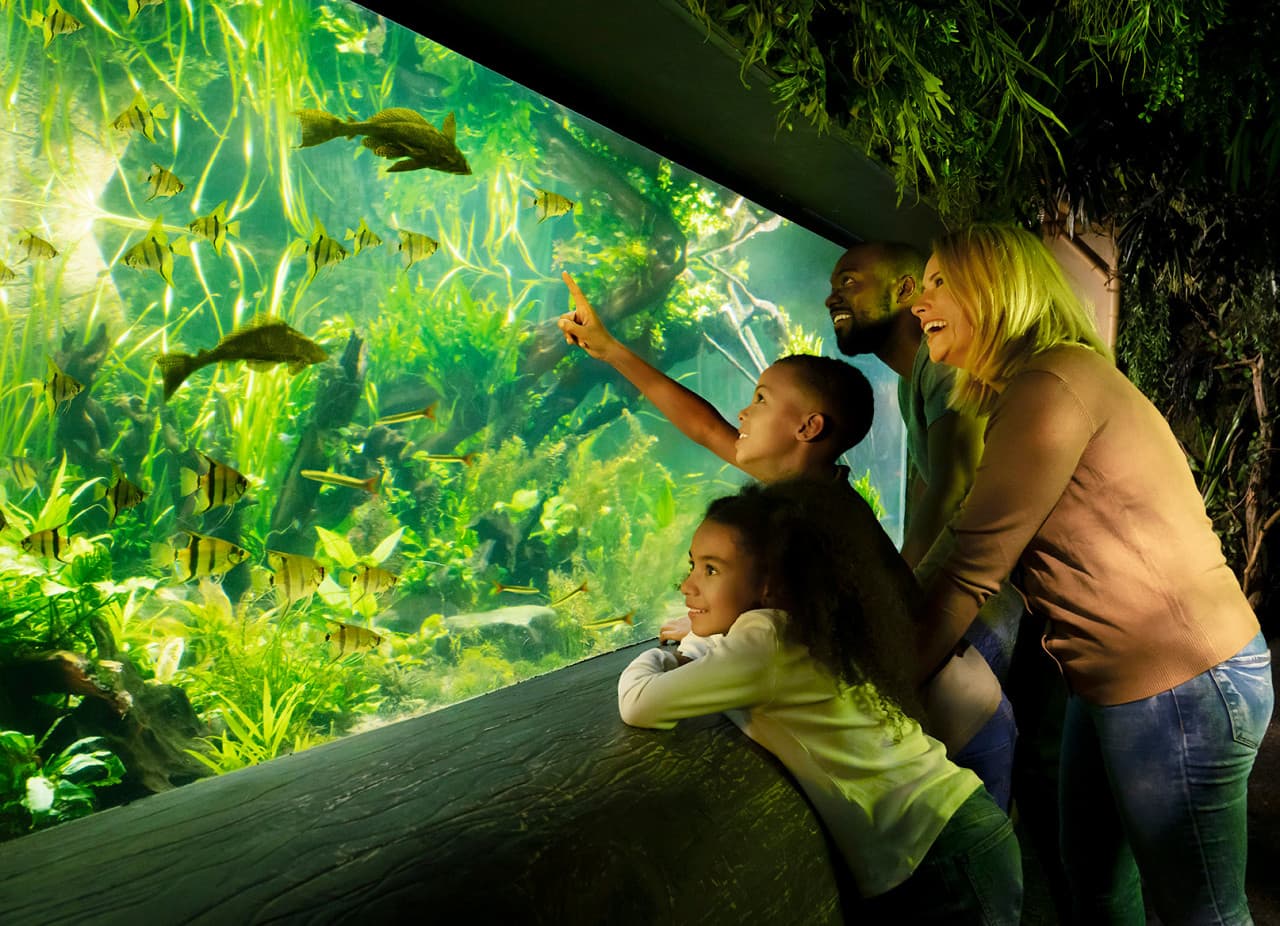 SEA LIFE London Aquarium Ticket - image 5