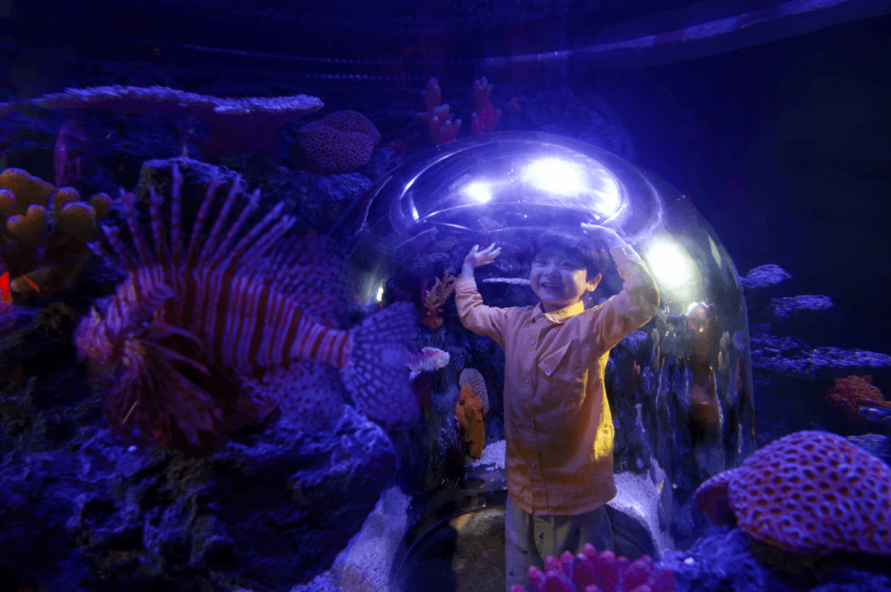 SEA LIFE COEX, Seoul Aquarium Ticket - 이미지 2
