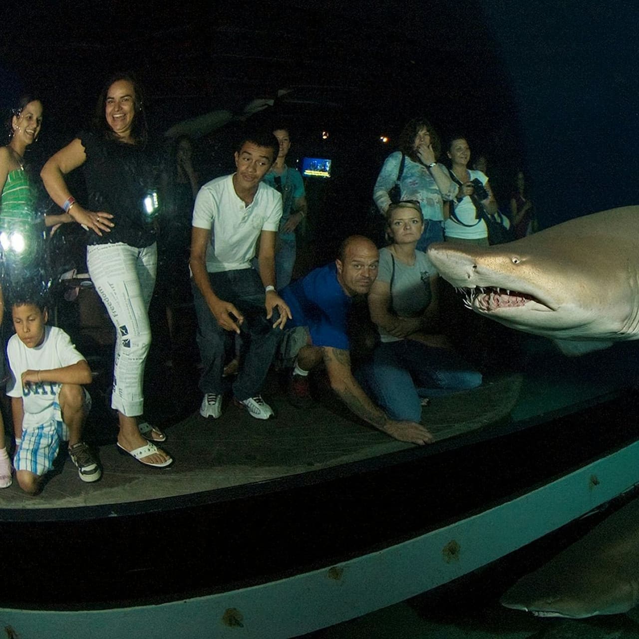Downtown Aquarium Denver Ticket - image 11