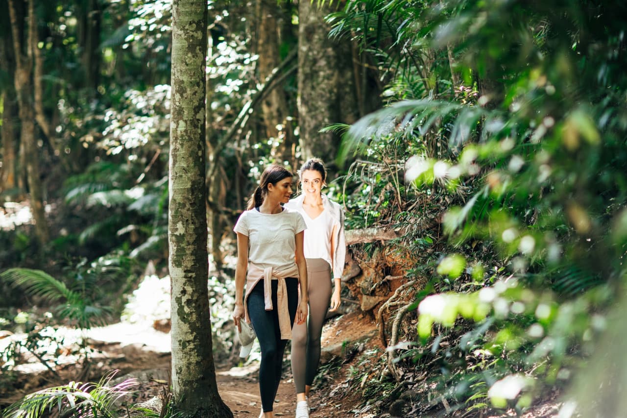 Tamborine Mountain Guided Walk and Wine Tasting Tour - main image
