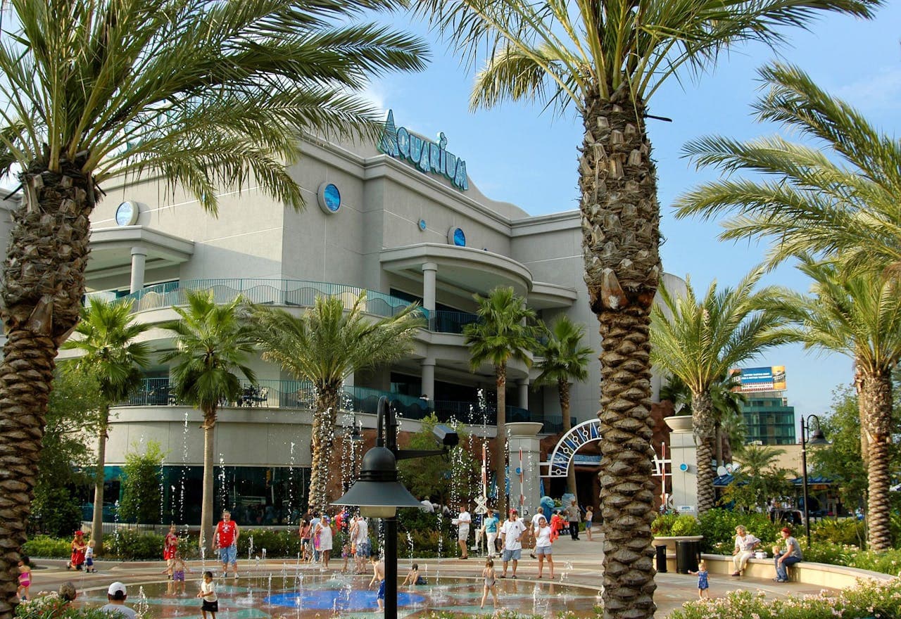 Downtown Aquarium Houston Ticket - image 2