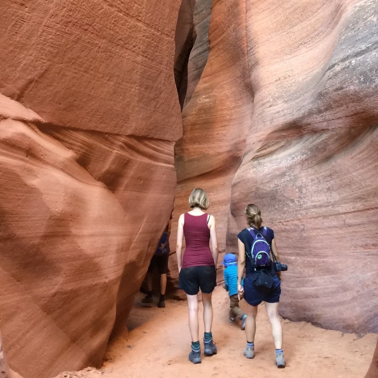 Antelope Canyon X and Horseshoe Bend Tour from Las Vegas - imagen 2