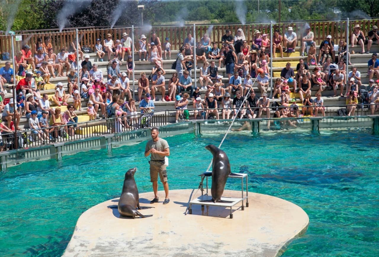 Safari de Peaugres: Entry Ticket - image 6