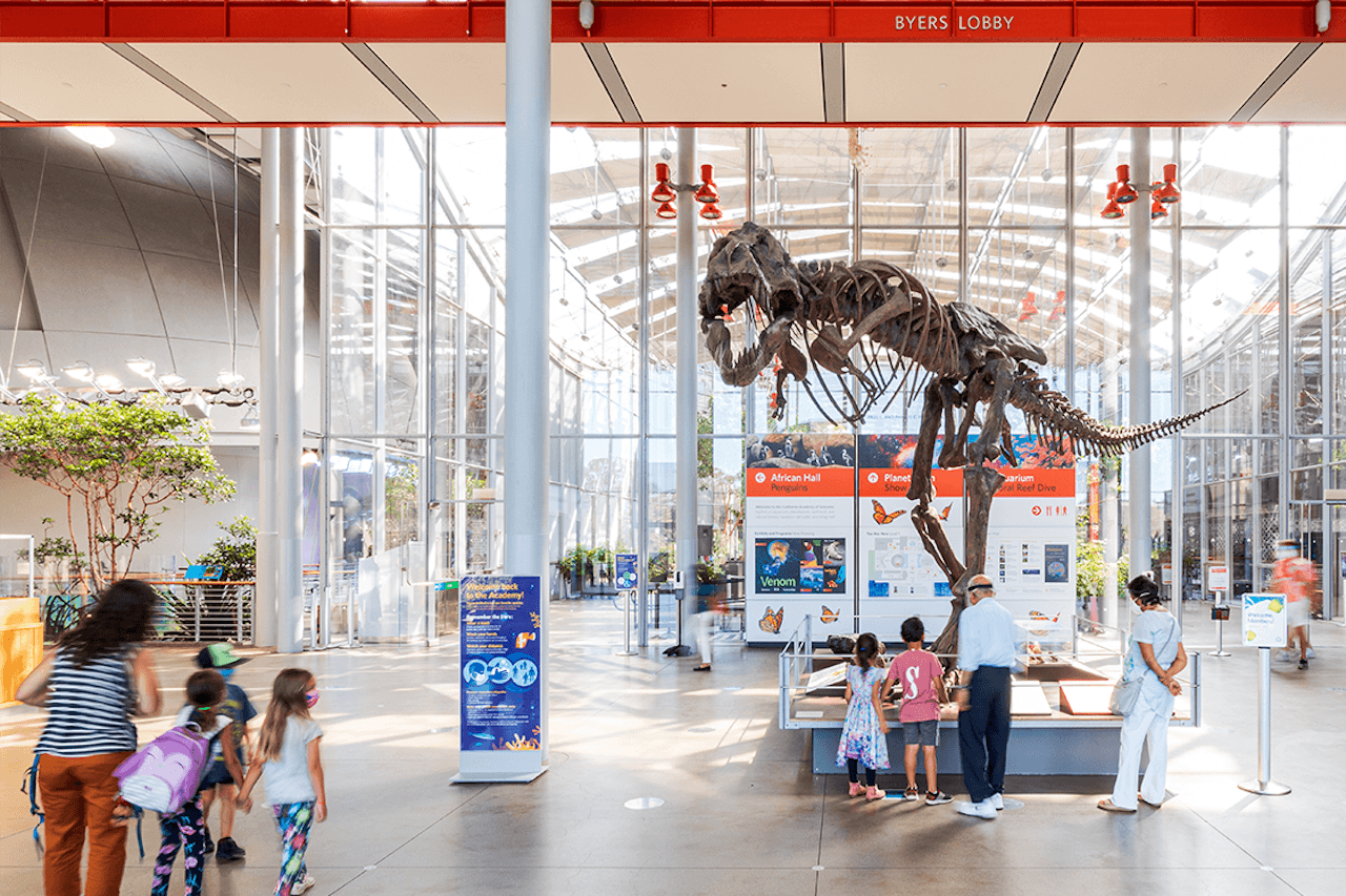 California Academy of Sciences Ticket - image 8