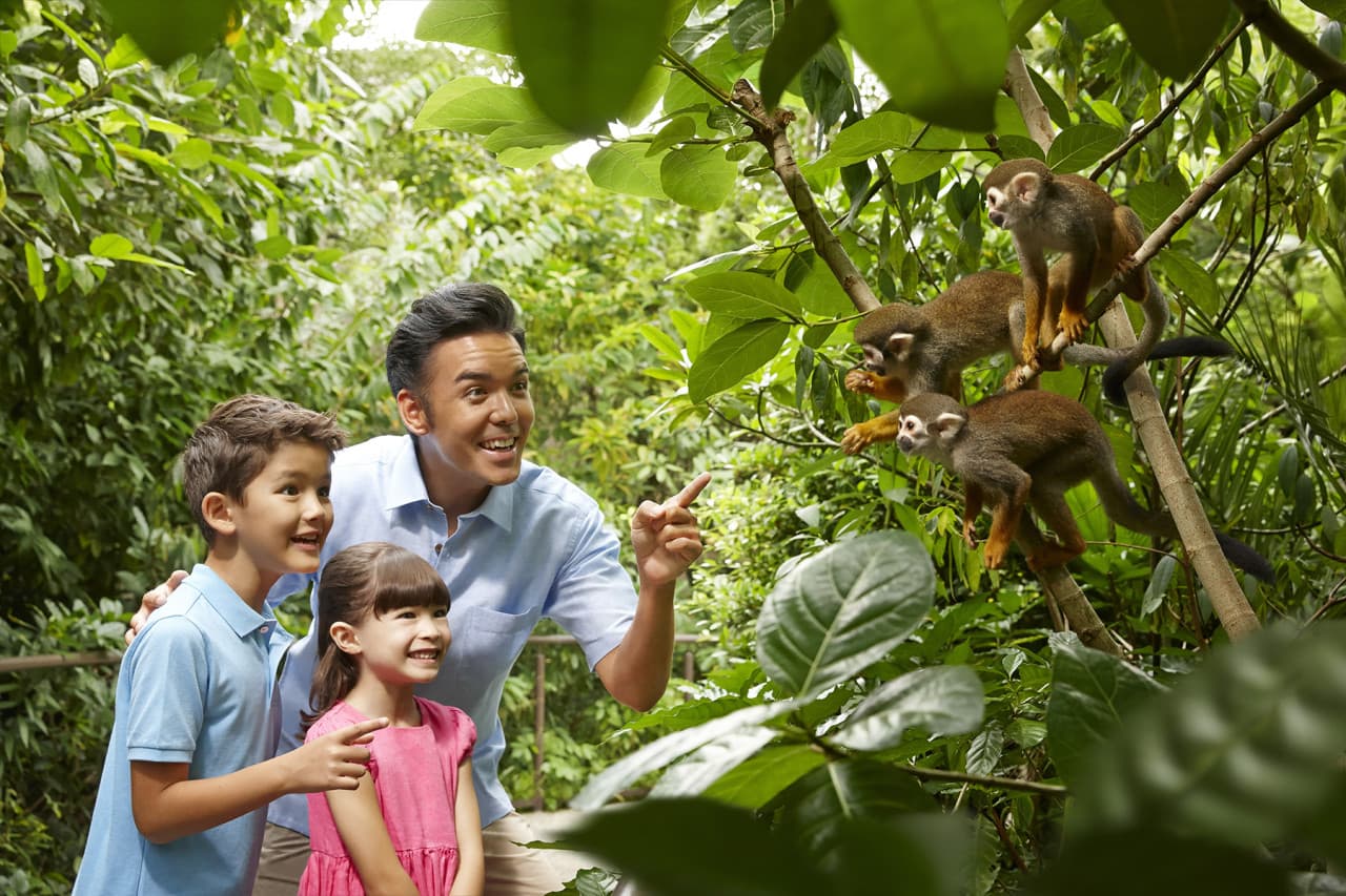 Go City Singapore All-Inclusive Pass: Ahorre hasta un 50% en atracciones - imagen 25