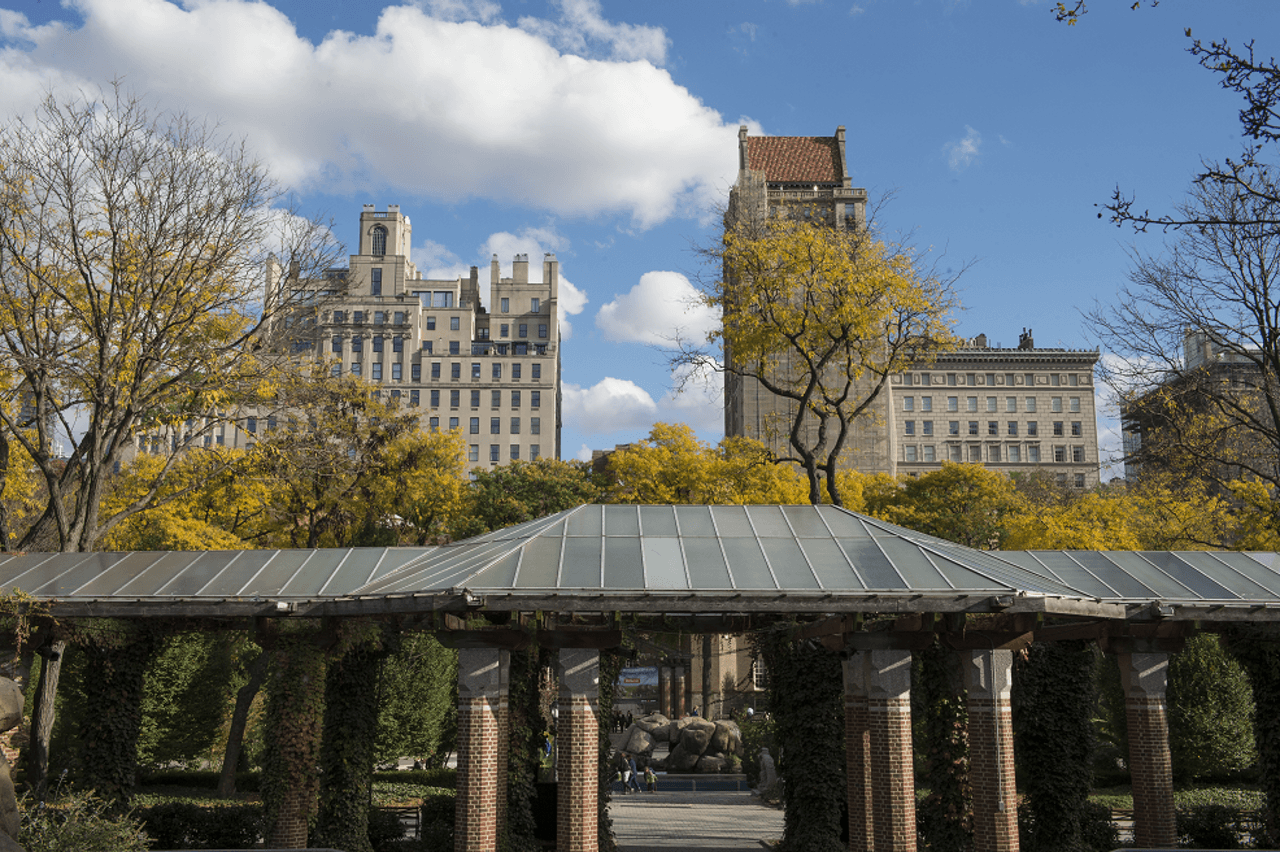 Central Park Zoo - imagen 6