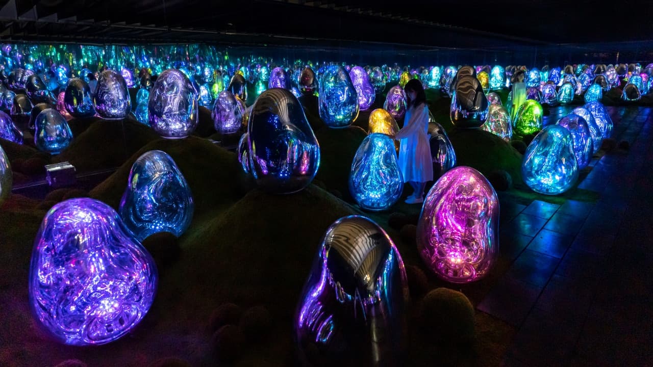 teamLab Planets TOKYO Ticket - image 4