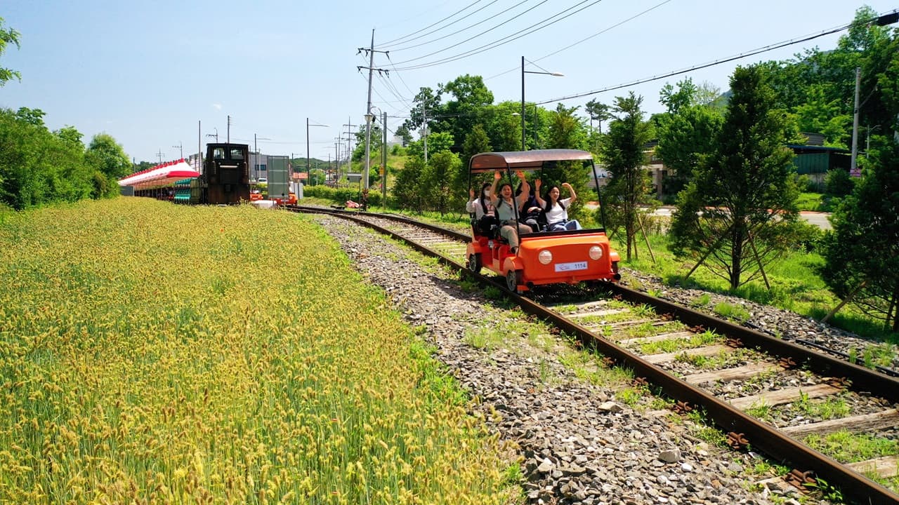 Nami Island, Mount Seorak, and Gapyeong Rail Bike Full-Day Tour from Seoul - 이미지 21