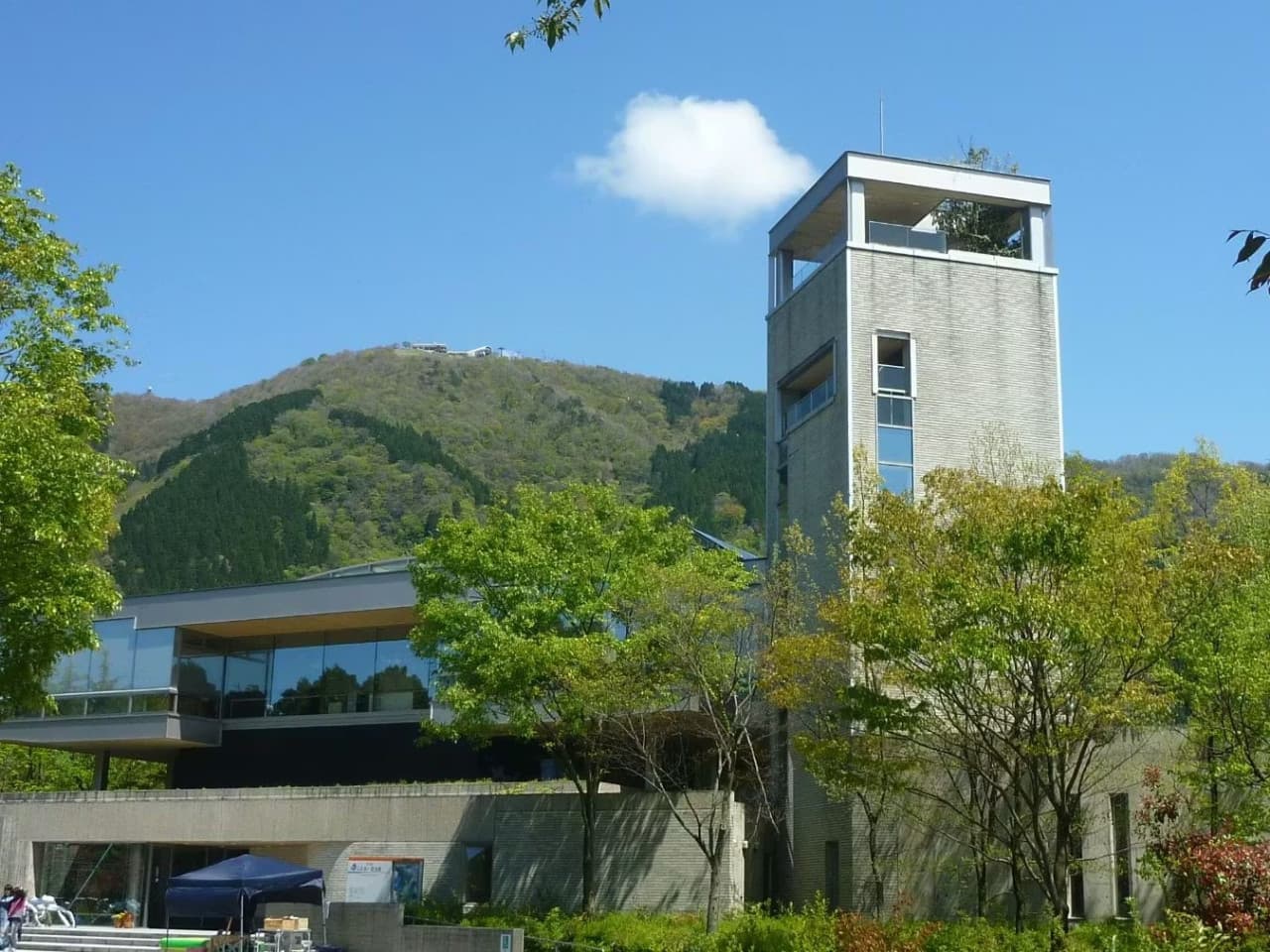 Ishikawa Insect Museum Ticket - image 4