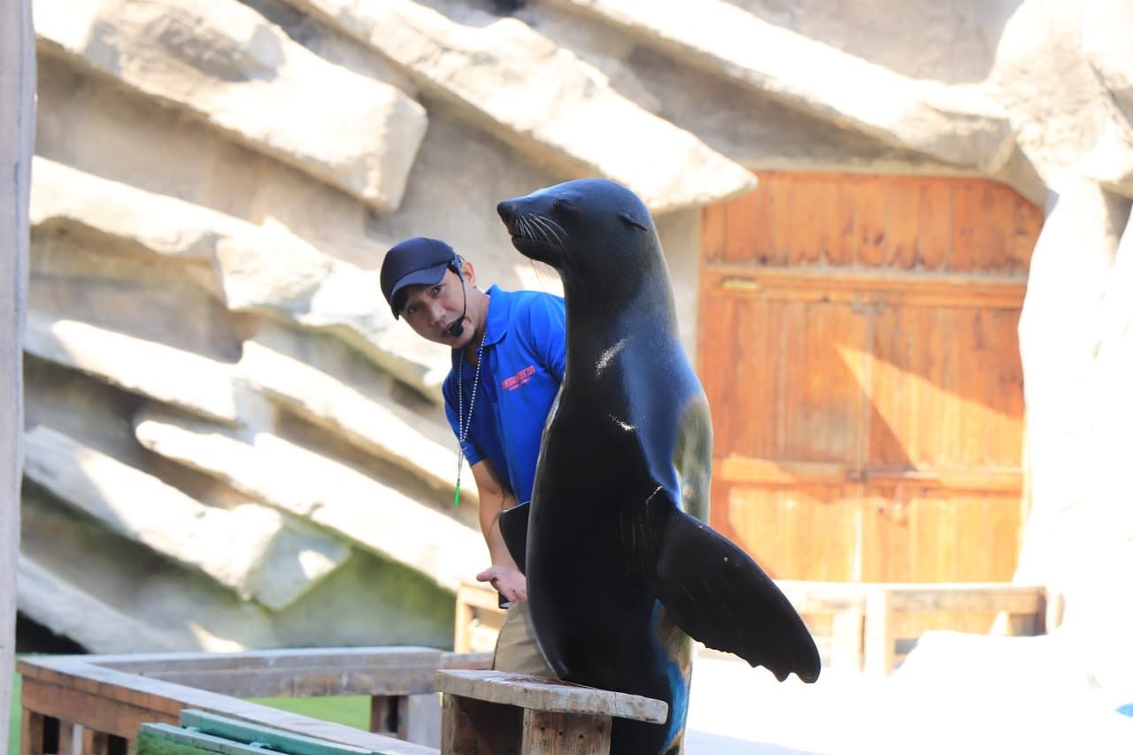 Entrada a Emirates Park Zoo - imagen 7