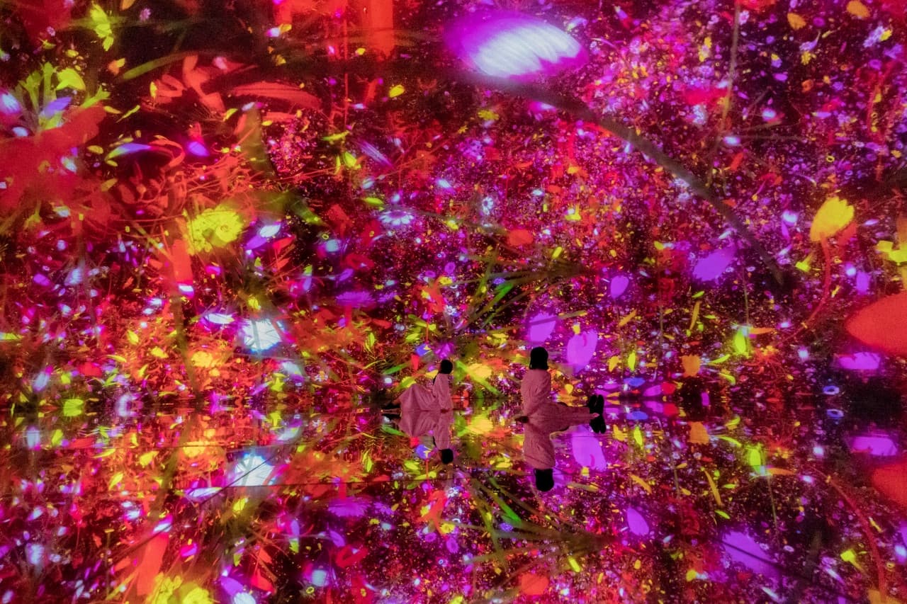teamLab Planets TOKYO Ticket - image 6